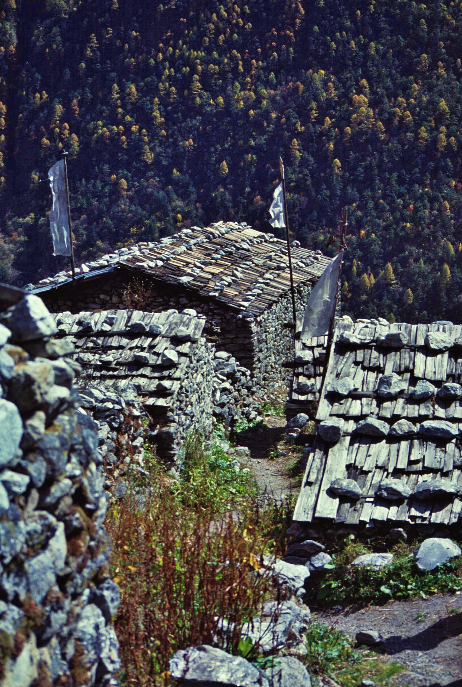 2021-01-17-20-02-004