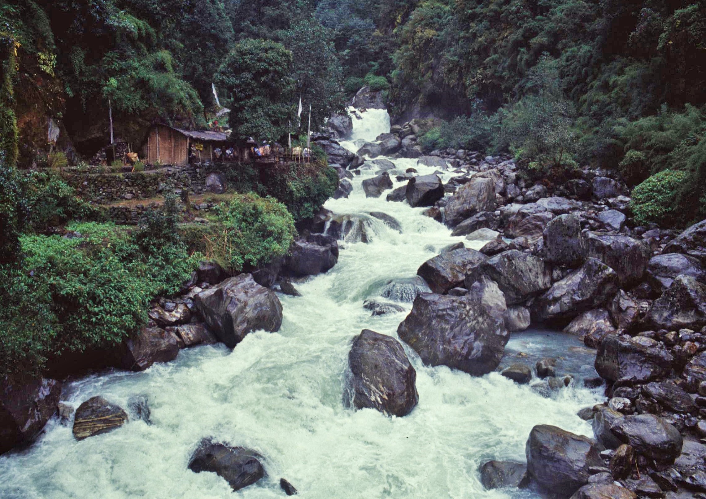 2021-02-10-20-55-002