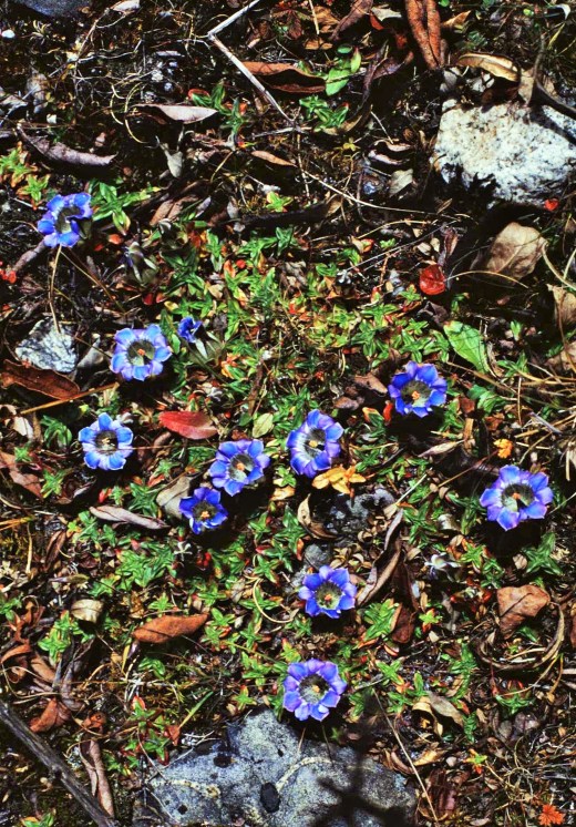 2021-02-10-20-58-004