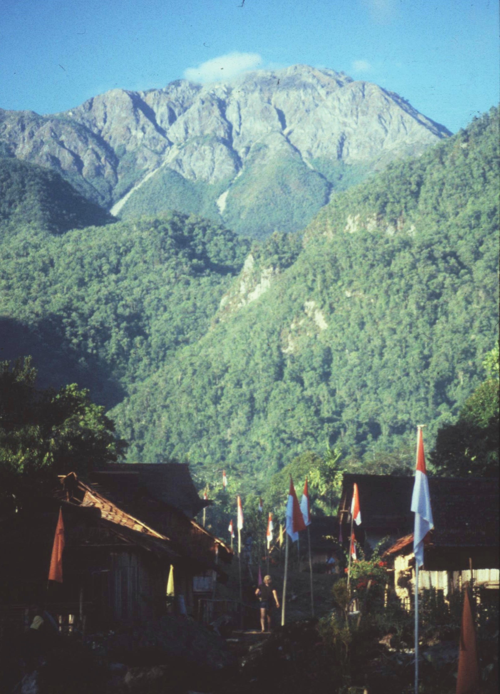 2021-02-20-19-02-002