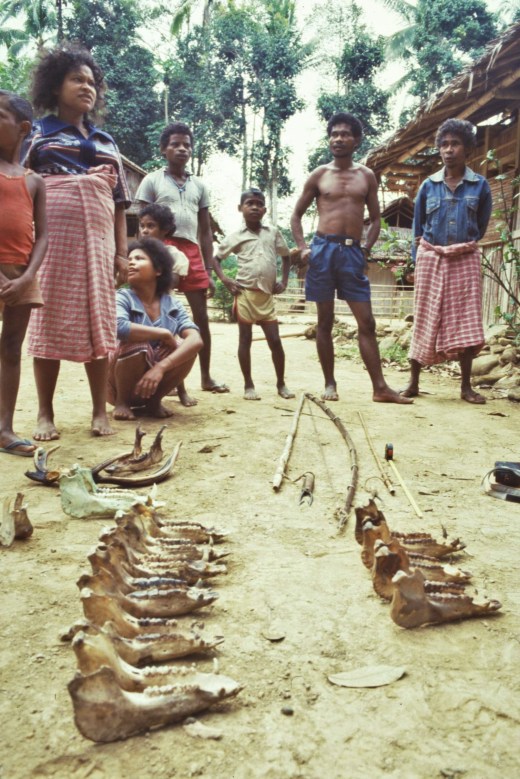 2021-02-20-19-05-002