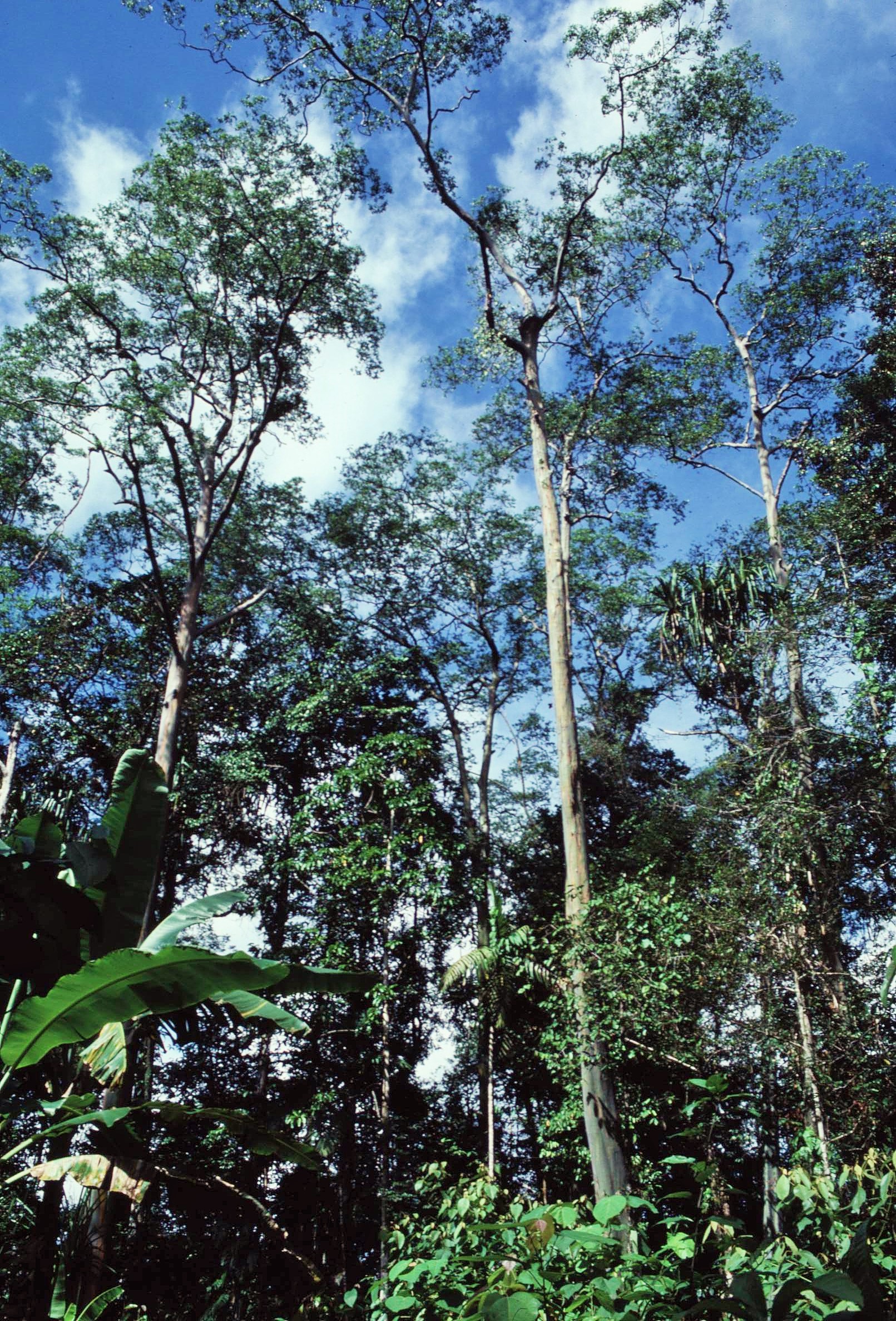 2021-02-20-19-08-002